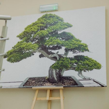 Hotel Bonsai نييمتشا المظهر الخارجي الصورة
