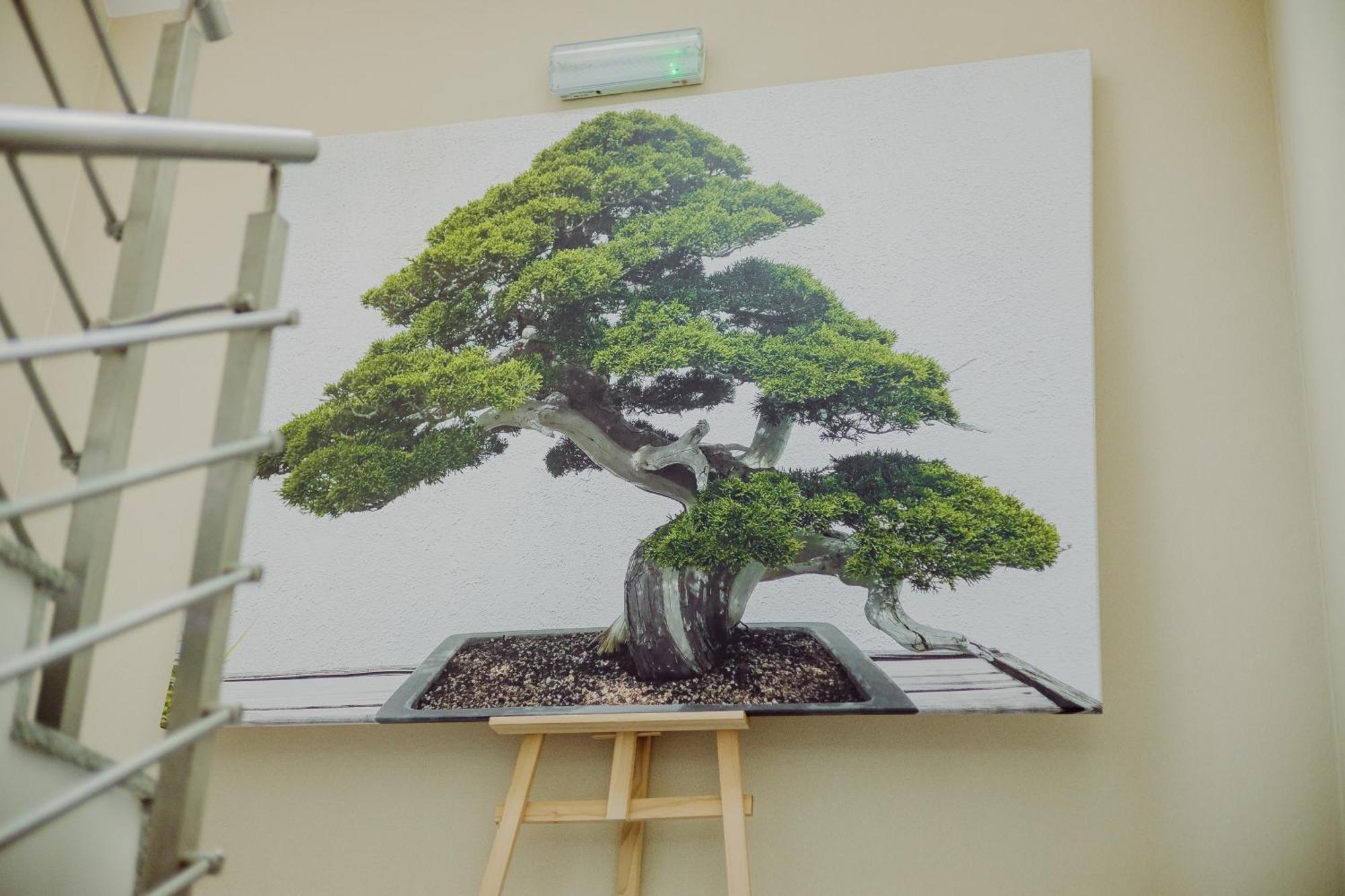 Hotel Bonsai نييمتشا المظهر الخارجي الصورة