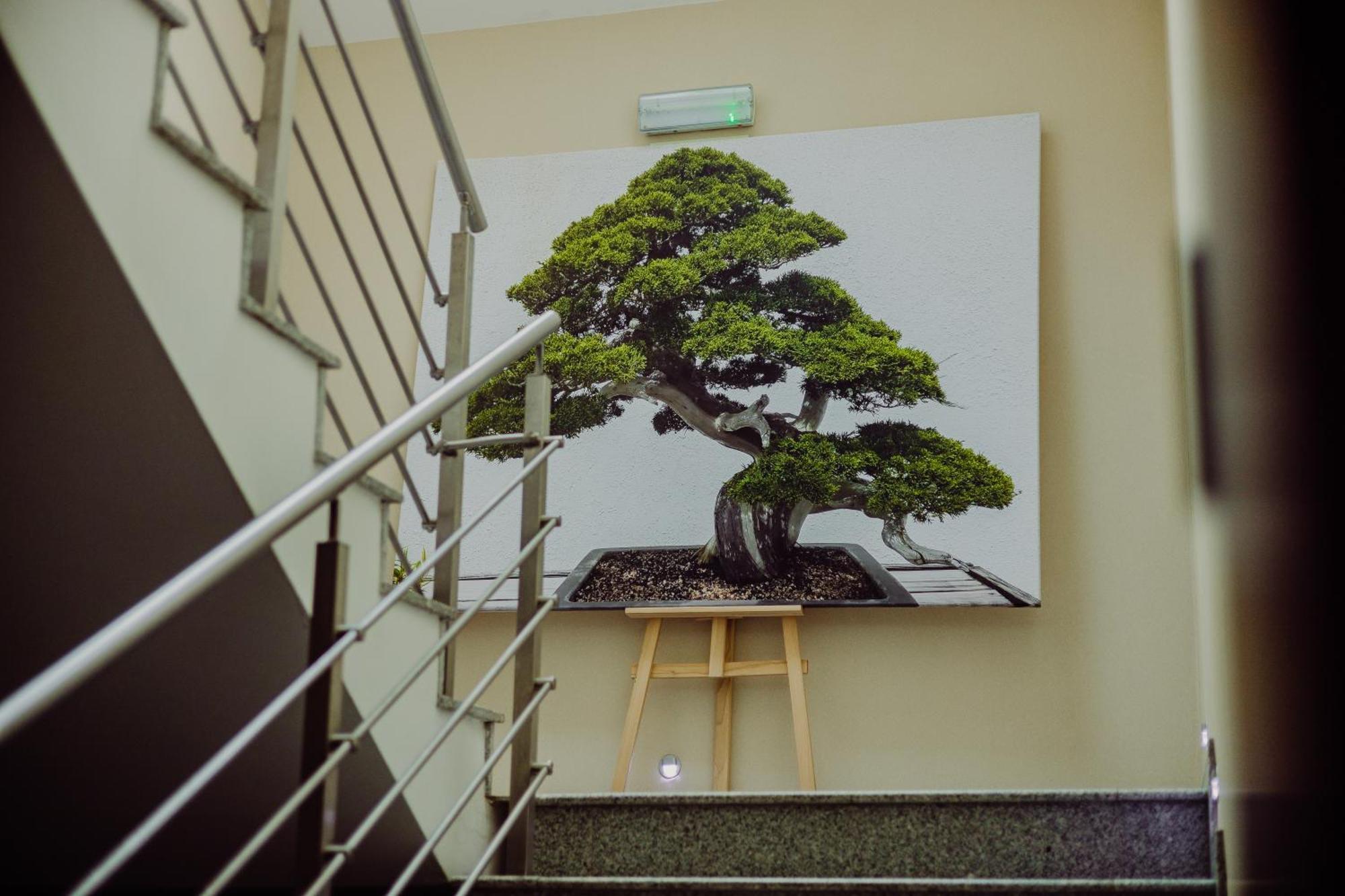 Hotel Bonsai نييمتشا المظهر الخارجي الصورة